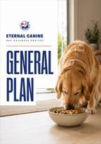 General Diet Plan