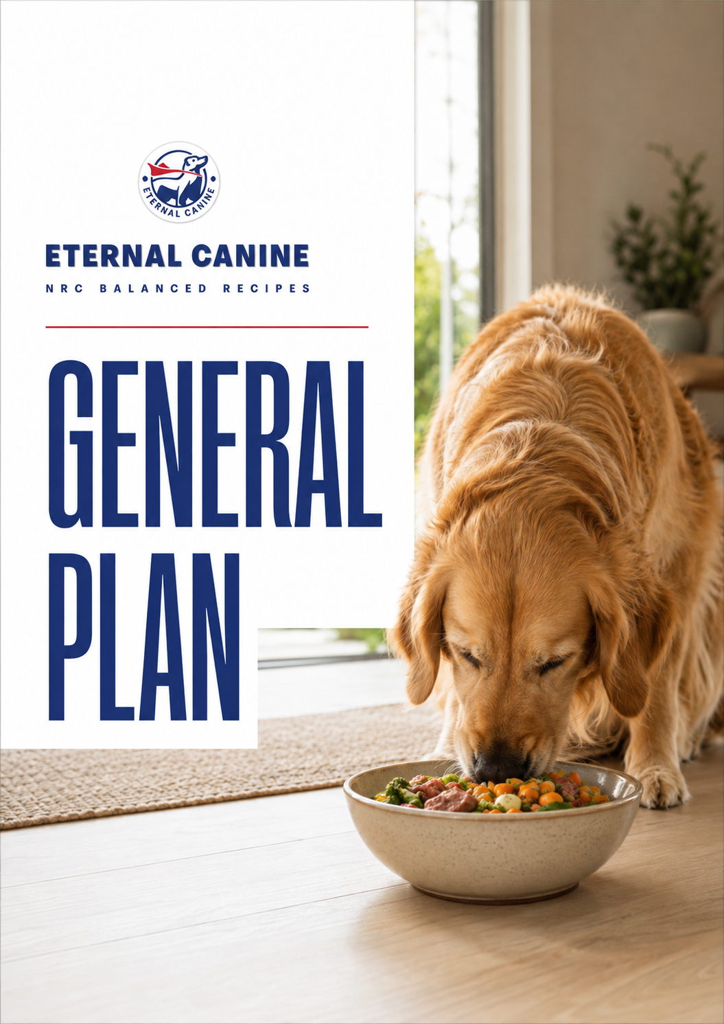 General Diet Plan