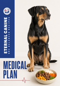 Medical Diet Plan