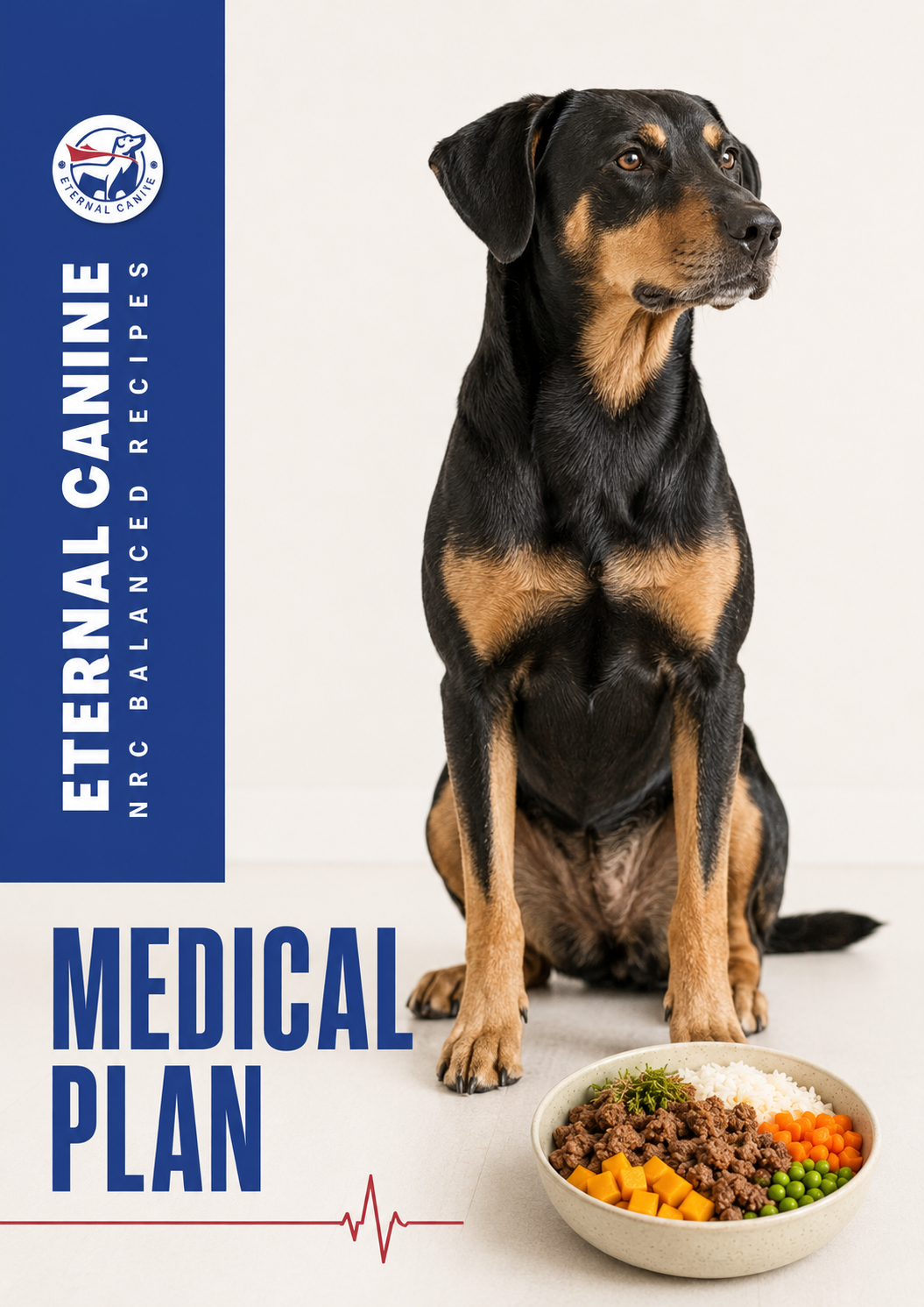Medical Diet Plan