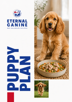 Puppy Diet Plan