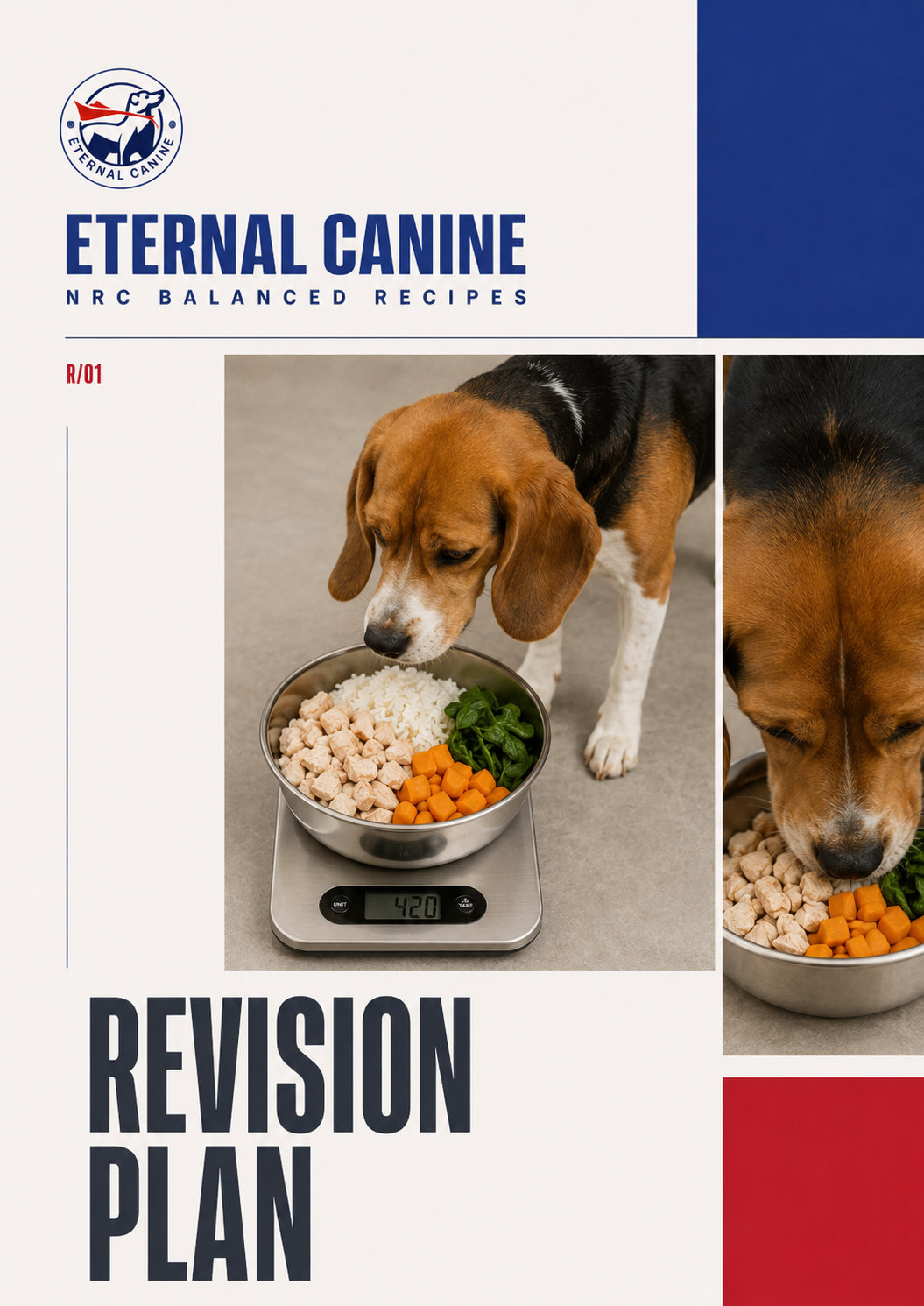 Diet Plan Revision